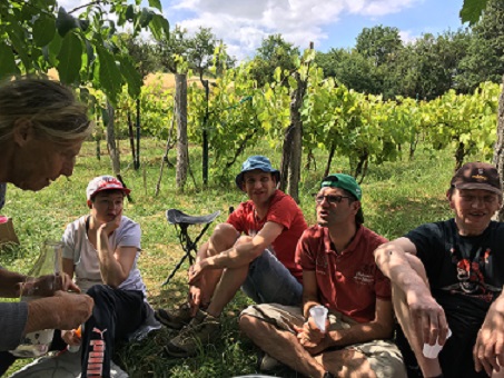 A la vigne , des ateliers champêtres appréciés. A la vigne , des ateliers champêtres appréciés.