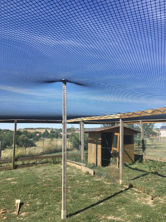 Un nouveau ciel pour les oiseaux de la basse-cour Un nouveau ciel pour les oiseaux de la basse-cour