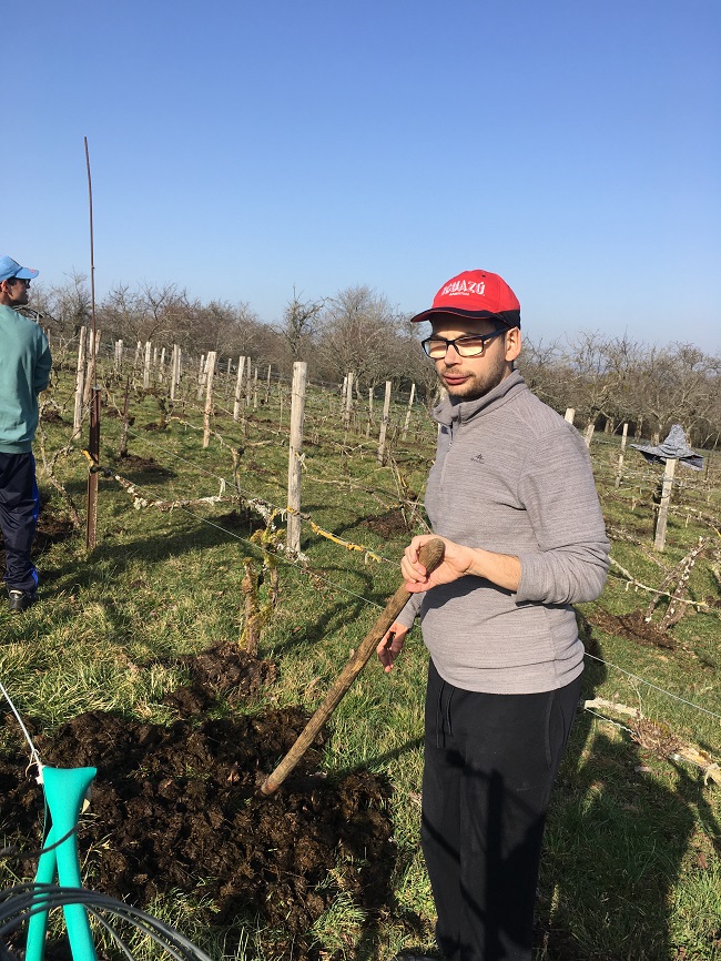 Dés son arrivée, Pierre heureux de retrouver la vigne, s'est mis au travail... Dés son arrivée, Pierre heureux de retrouver la vigne, s'est mis au travail...