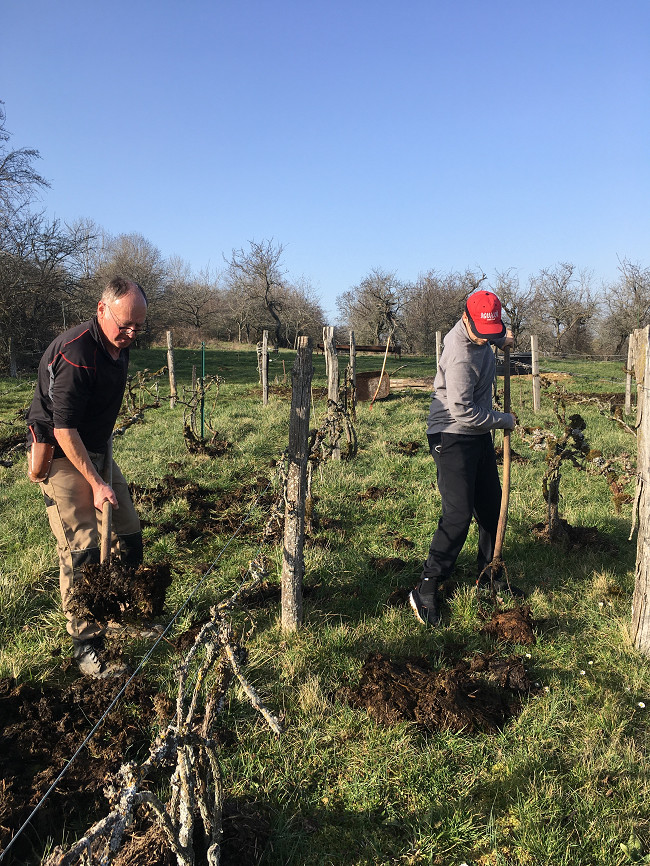 On retrouve la Vigne sous le soleil! On retrouve la Vigne sous le soleil!