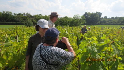 Visite à la vigne du Prémont Visite à la vigne du Prémont