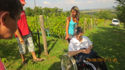 Visite à la vigne du Prémont