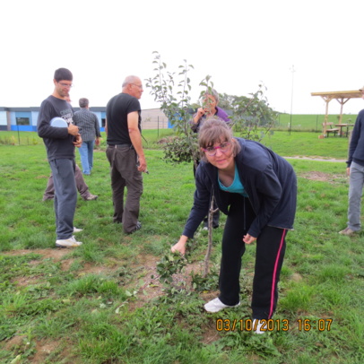 Ramassage des branches taillées Ramassage des branches taillées