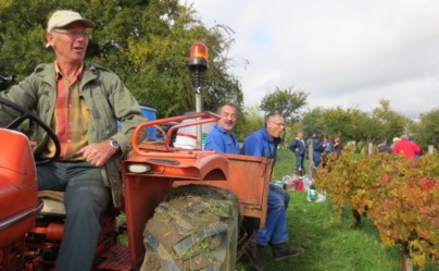 Les Vendanges 2013 sous le soleil ! Les Vendanges 2013 sous le soleil !
