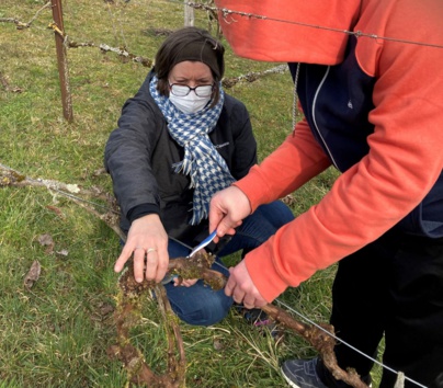 Le geste de Quentin est précis et énergique sous la houlette de Karen, la stagiaire.