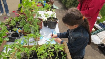 Des fleurs et des sourires Des fleurs et des sourires
