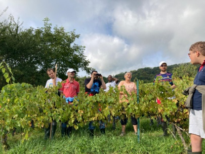 Des découvertes pour tous Des découvertes pour tous