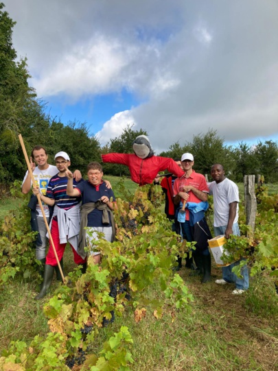 Une dissuasion efficace pour préserver les grappes Une dissuasion efficace pour préserver les grappes