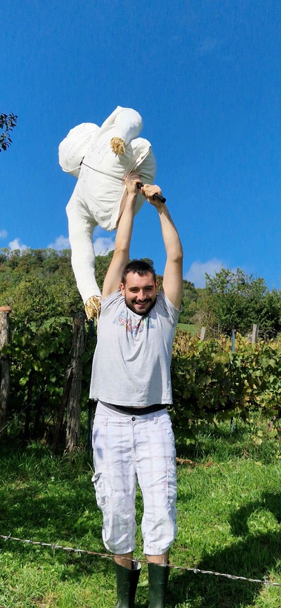 Vendanges 2025