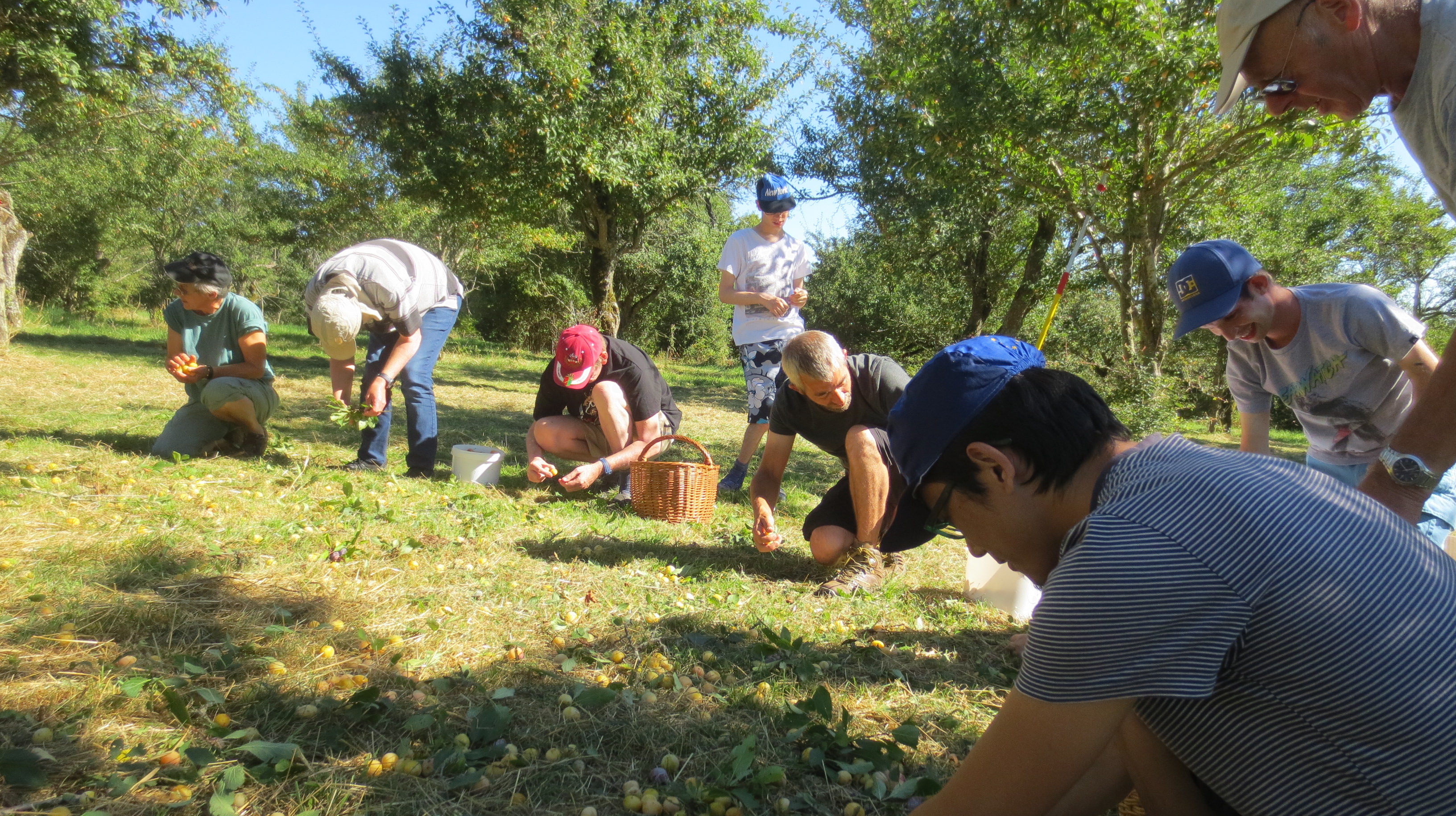Au travail... Au travail...