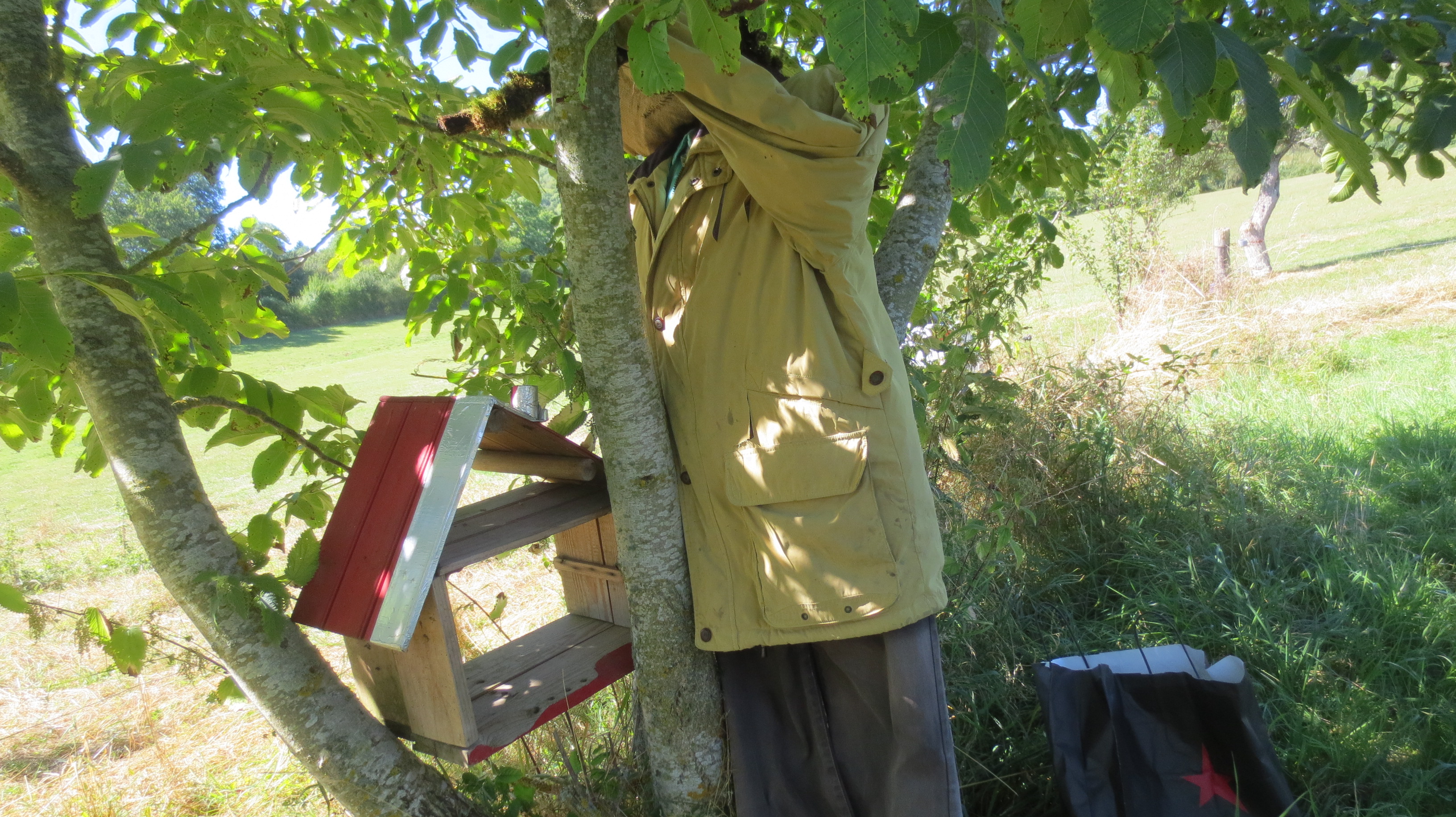 Denis monte la garde... Denis monte la garde...