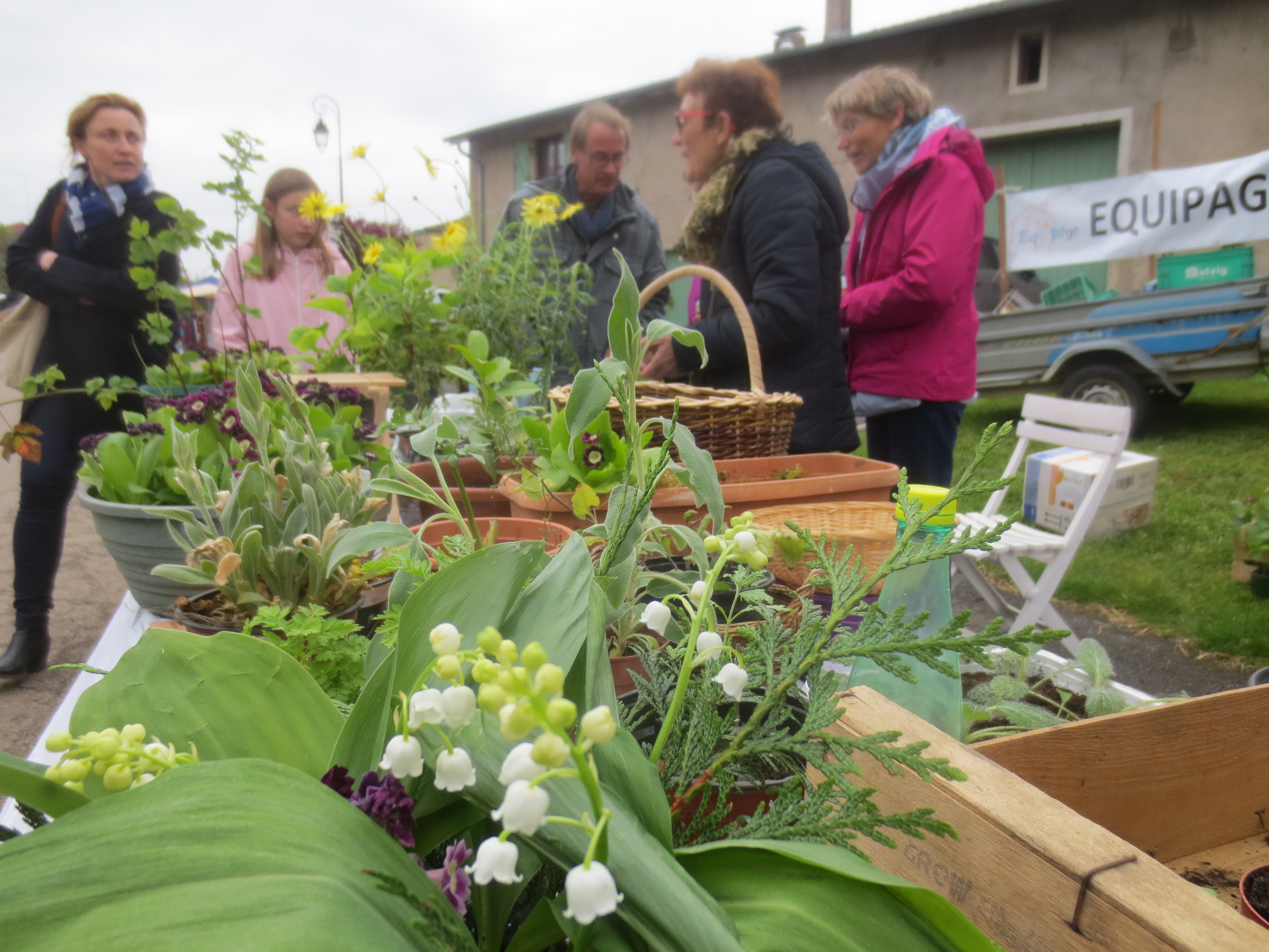 Sous le signe du muguet