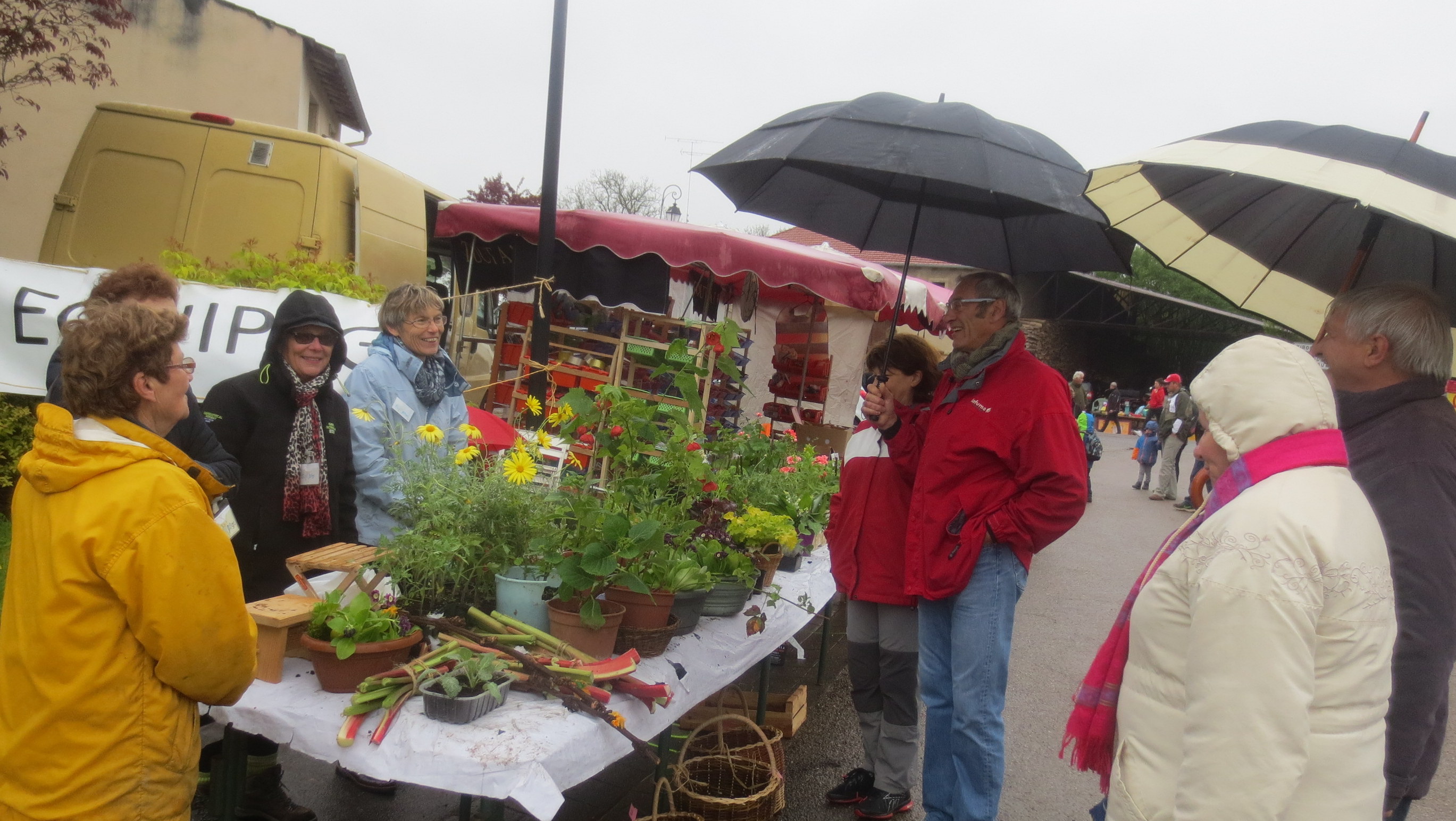 La journée commencée sous les parapluies La journée commencée sous les parapluies
