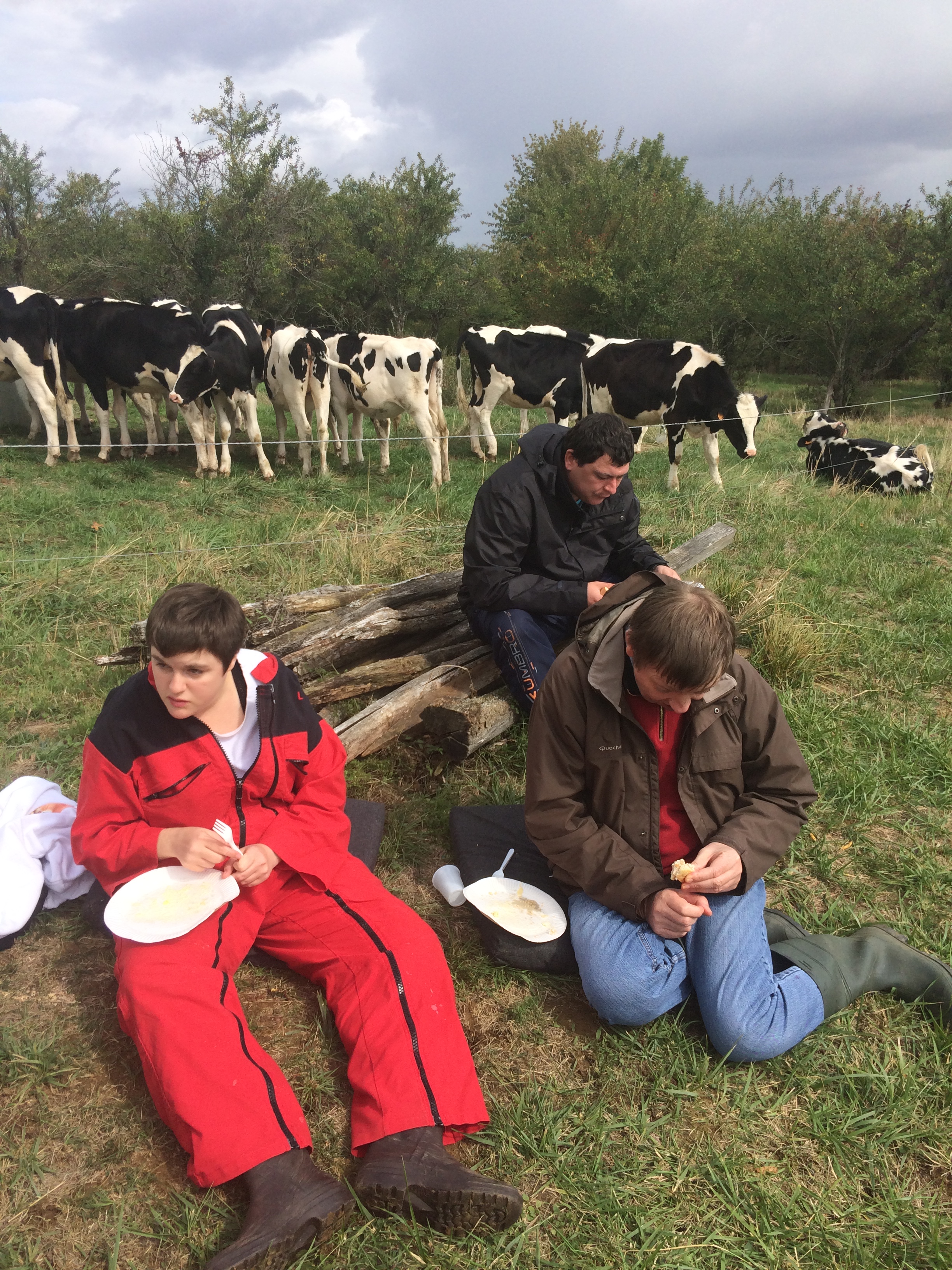 Une fête enviée par le troupeau de petits veaux