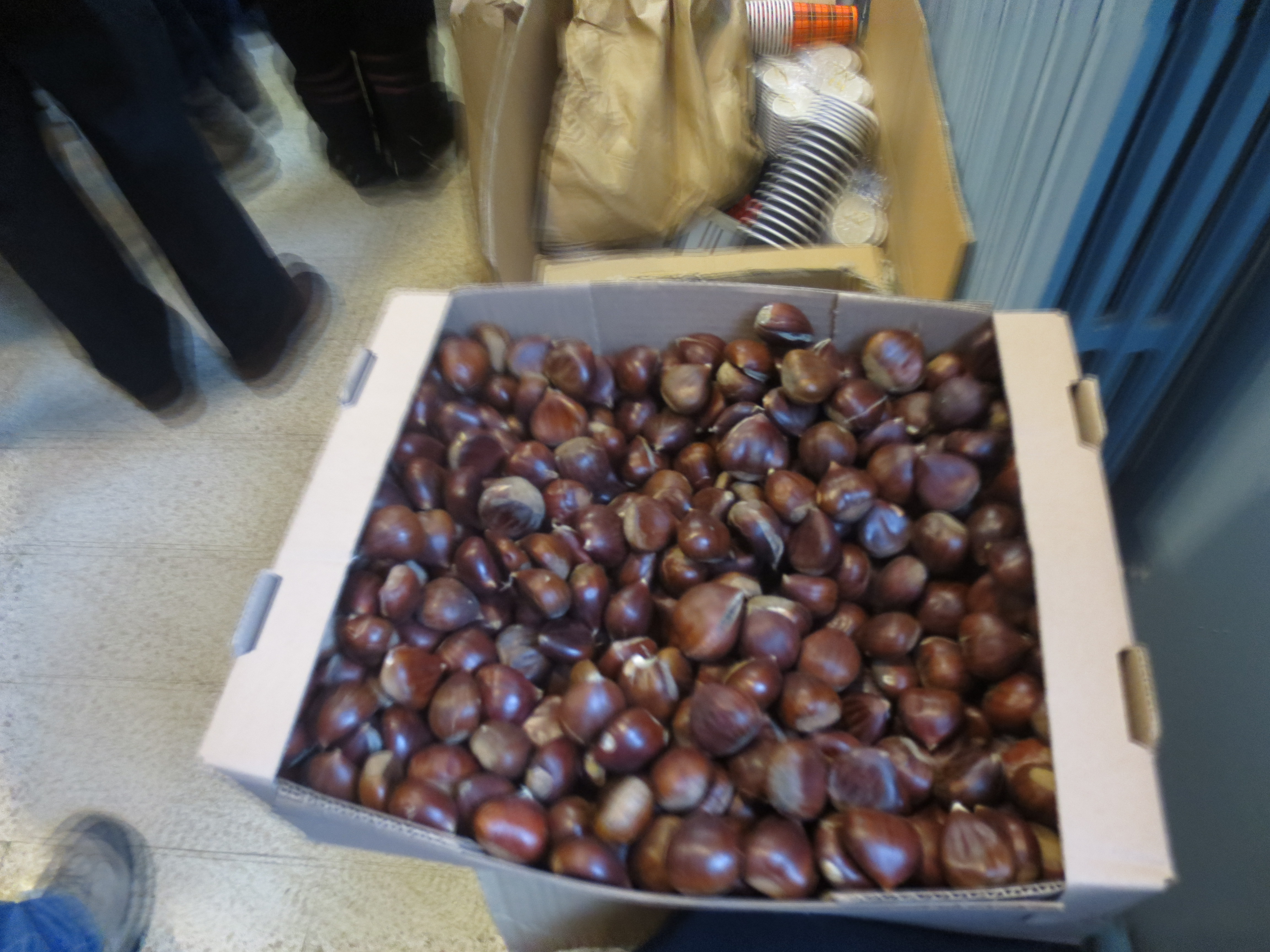 Des marrons au froid... Des marrons au froid...