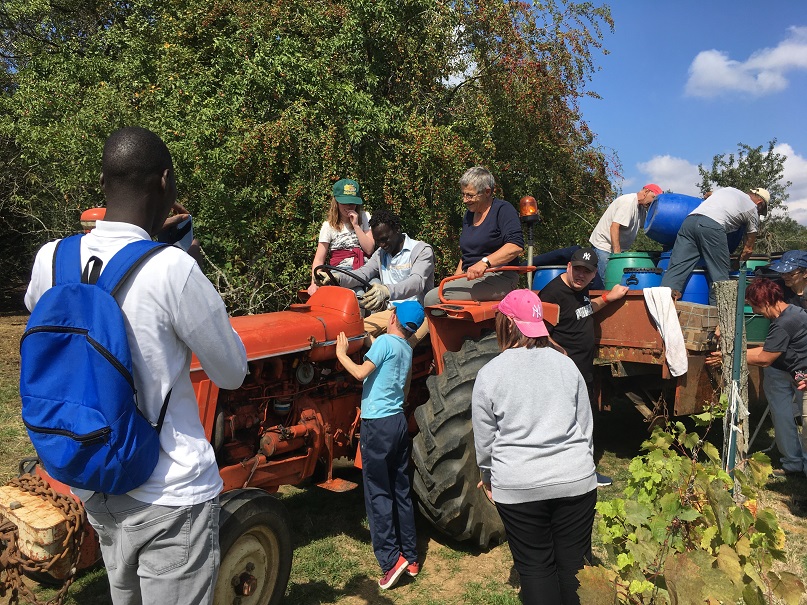 Le tracteur vedette de la fête