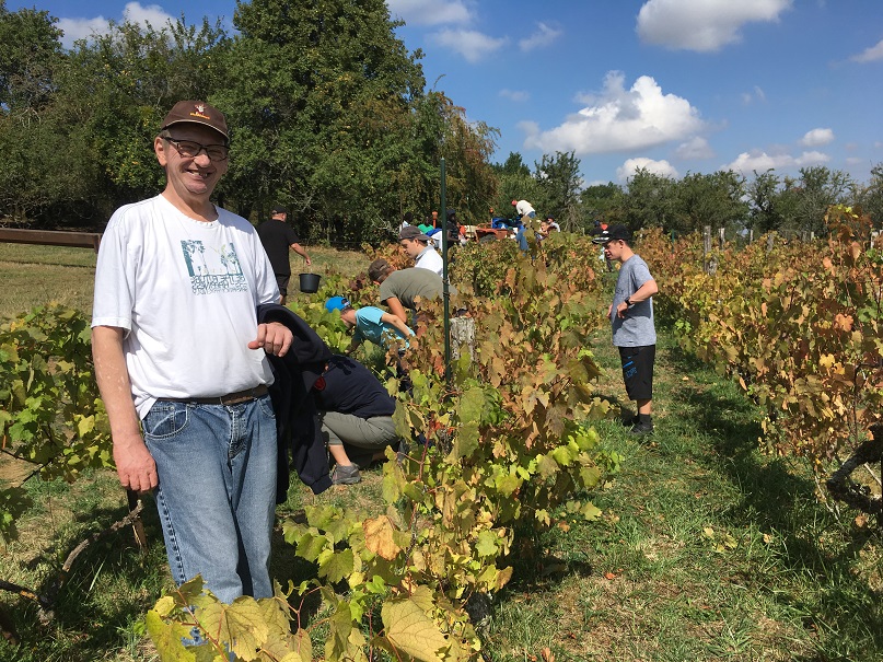 Et des vendangeurs heureux... Et des vendangeurs heureux...