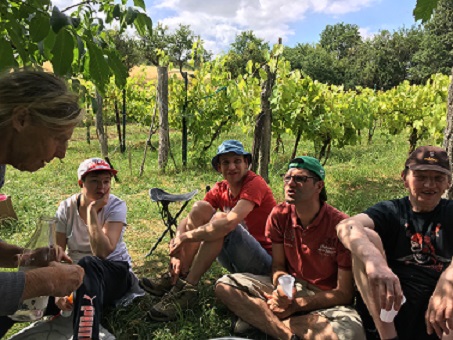 A la vigne , des ateliers champêtres appréciés.