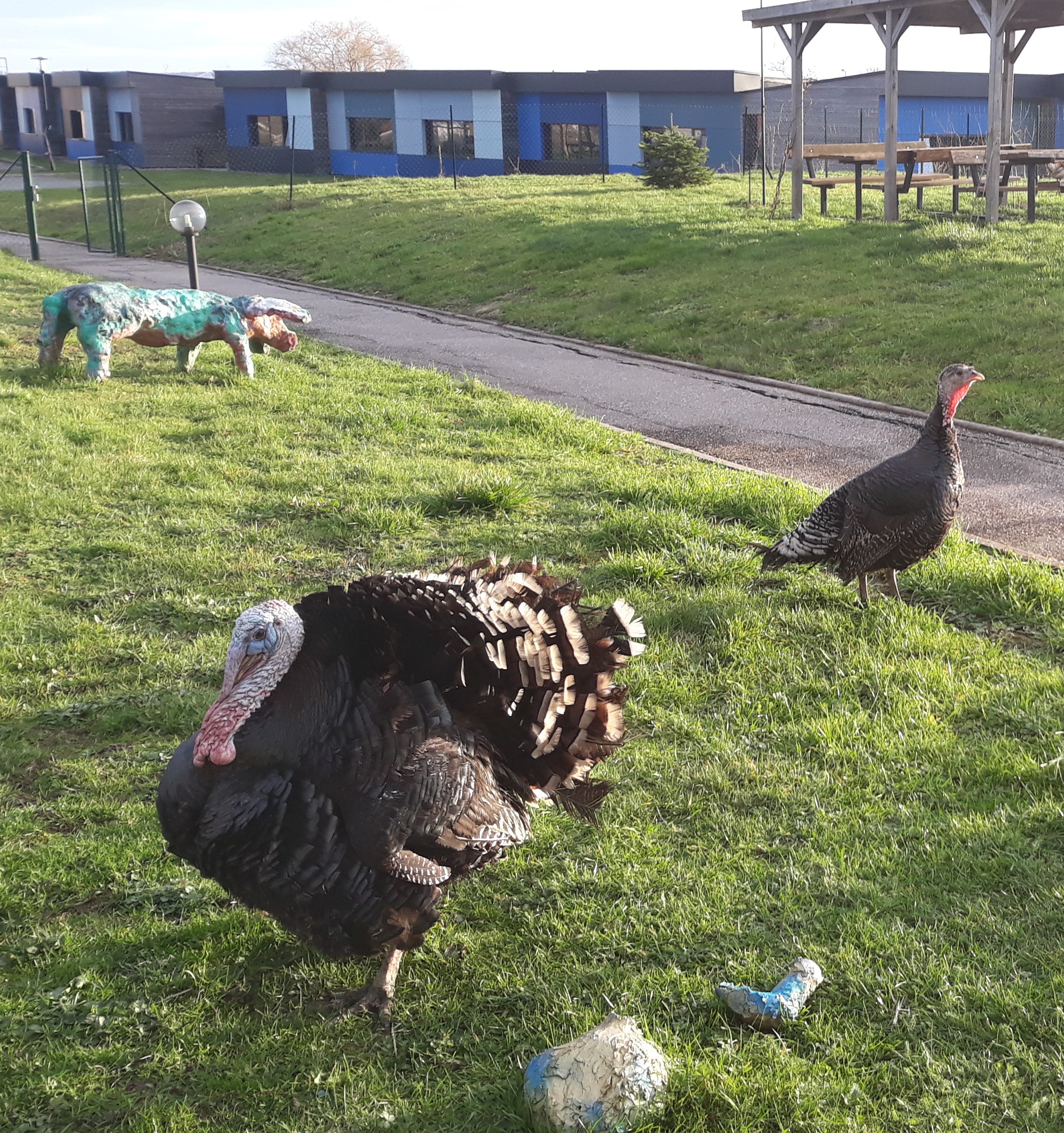 un beau couple un beau couple