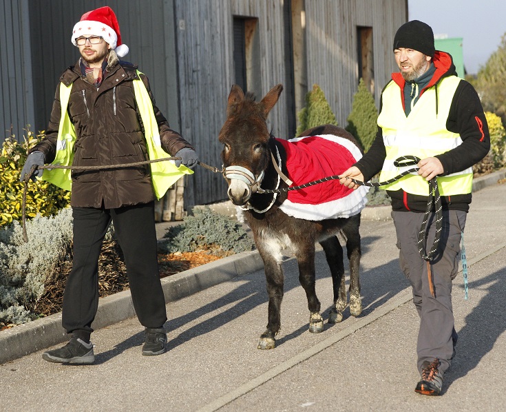 Pierre et Jean-Baptiste viennent au devant de Saint Nicolas pour lui offrir sa monture. Pierre et Jean-Baptiste viennent au devant de Saint Nicolas pour lui offrir sa monture.