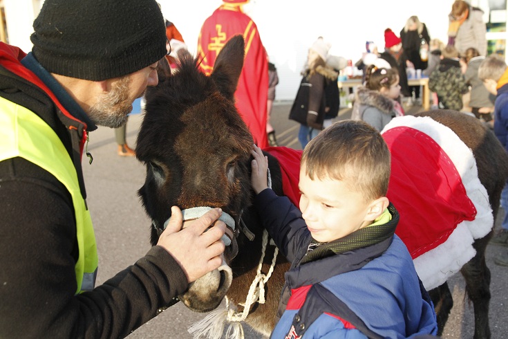 Roméo a lui aussi son petit succès.