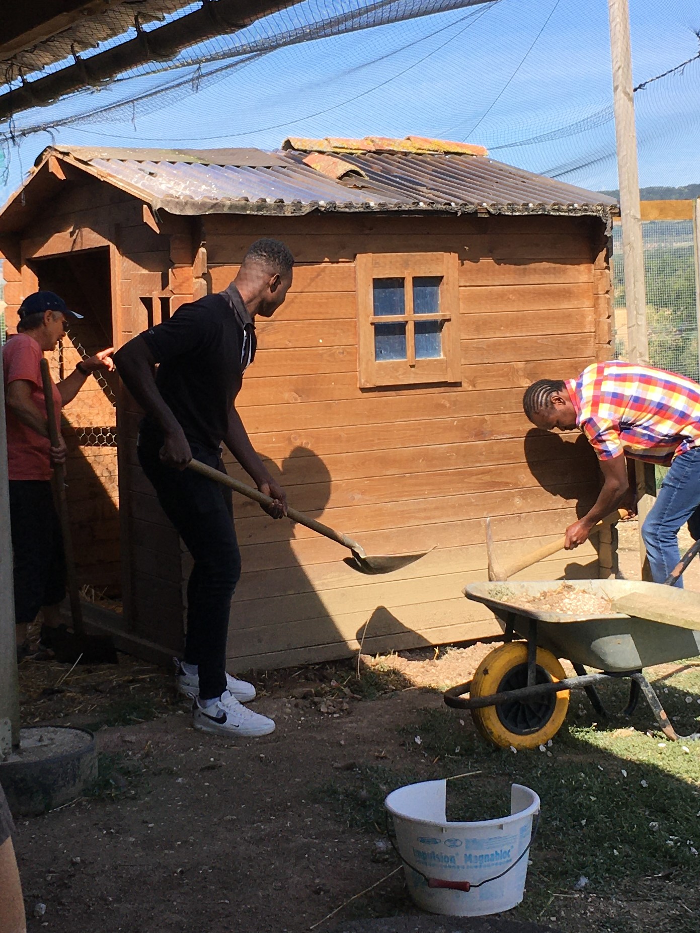 La cabane déplacée de quelques décimètres a ensuite été calée au milieu de la volière.