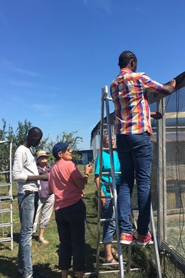 On avait choisi de grands bénévoles pour ce chantier particulier!