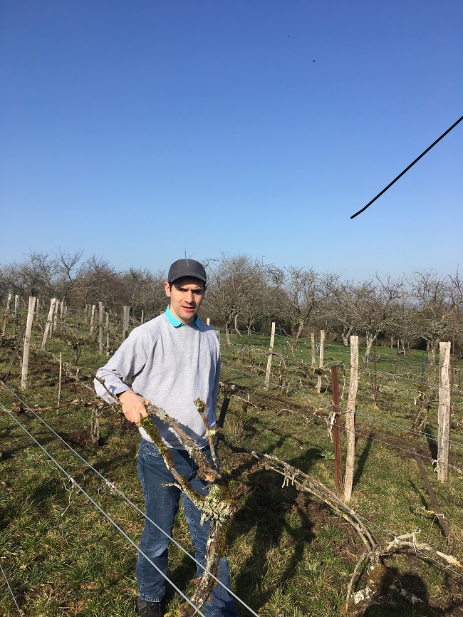 On retrouve la Vigne sous le soleil!