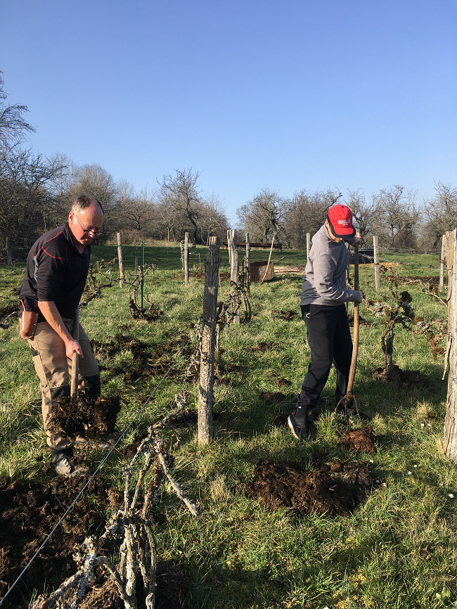 On retrouve la Vigne sous le soleil!