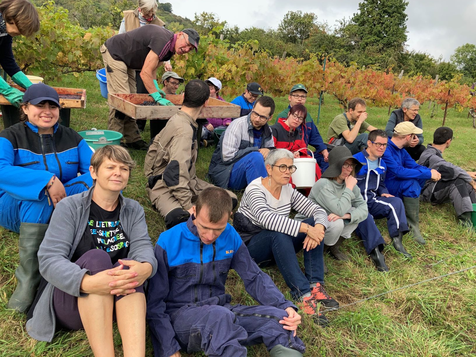 La pause aprés la récolte des raisins.