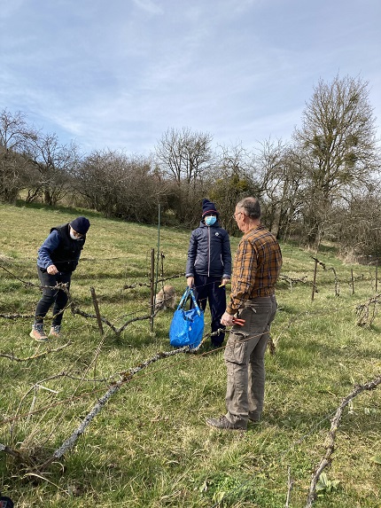 Le ramassage des sarments avec Annie sous l'oeil de Denis Le ramassage des sarments avec Annie sous l'oeil de Denis