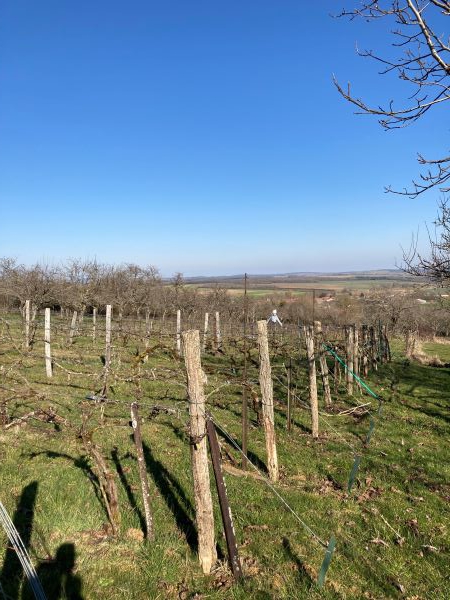 Le Saintois sous le soleil du Prémont