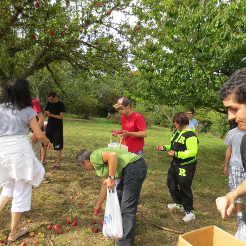 Epouvantails avant les vendanges