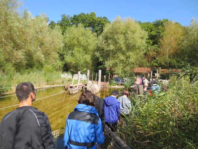 Au parc de Sainte Croix