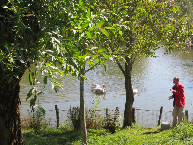 Au parc de Sainte Croix