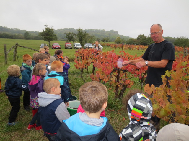 Denis explique comment on prend soin de la vigne aux petits écoliers