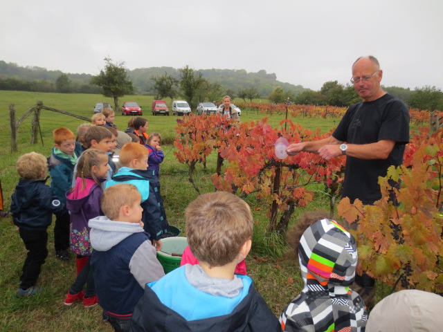 Denis explique comment on prend soin de la vigne aux petits écoliers Denis explique comment on prend soin de la vigne aux petits écoliers