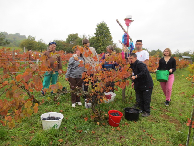 Vendanges 2014 , belles rencontres!