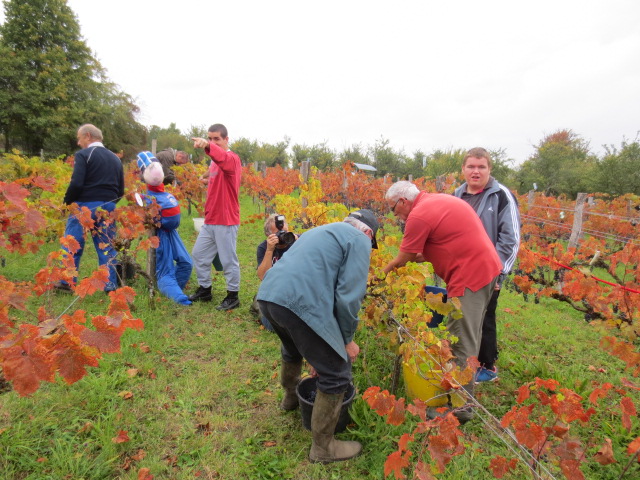 Vendanges 2014 , belles rencontres!