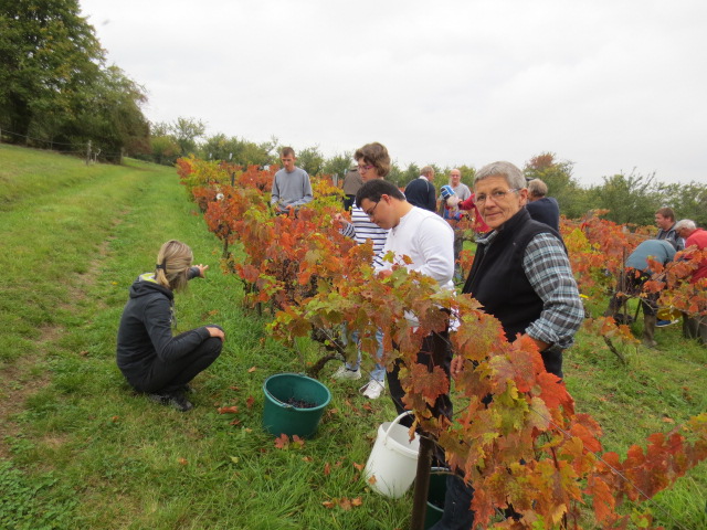 Vendanges 2014 , belles rencontres!