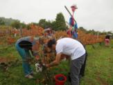 Vendanges 2014 , belles rencontres! Vendanges 2014 , belles rencontres!