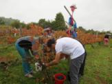 Vendanges 2014 , belles rencontres!