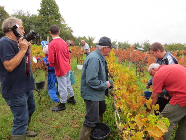 Vendanges 2014 , belles rencontres! Vendanges 2014 , belles rencontres!