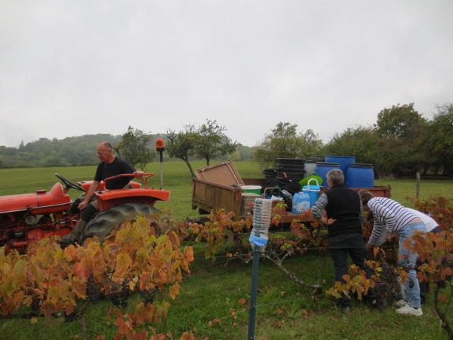 Vendanges 2014 , belles rencontres!