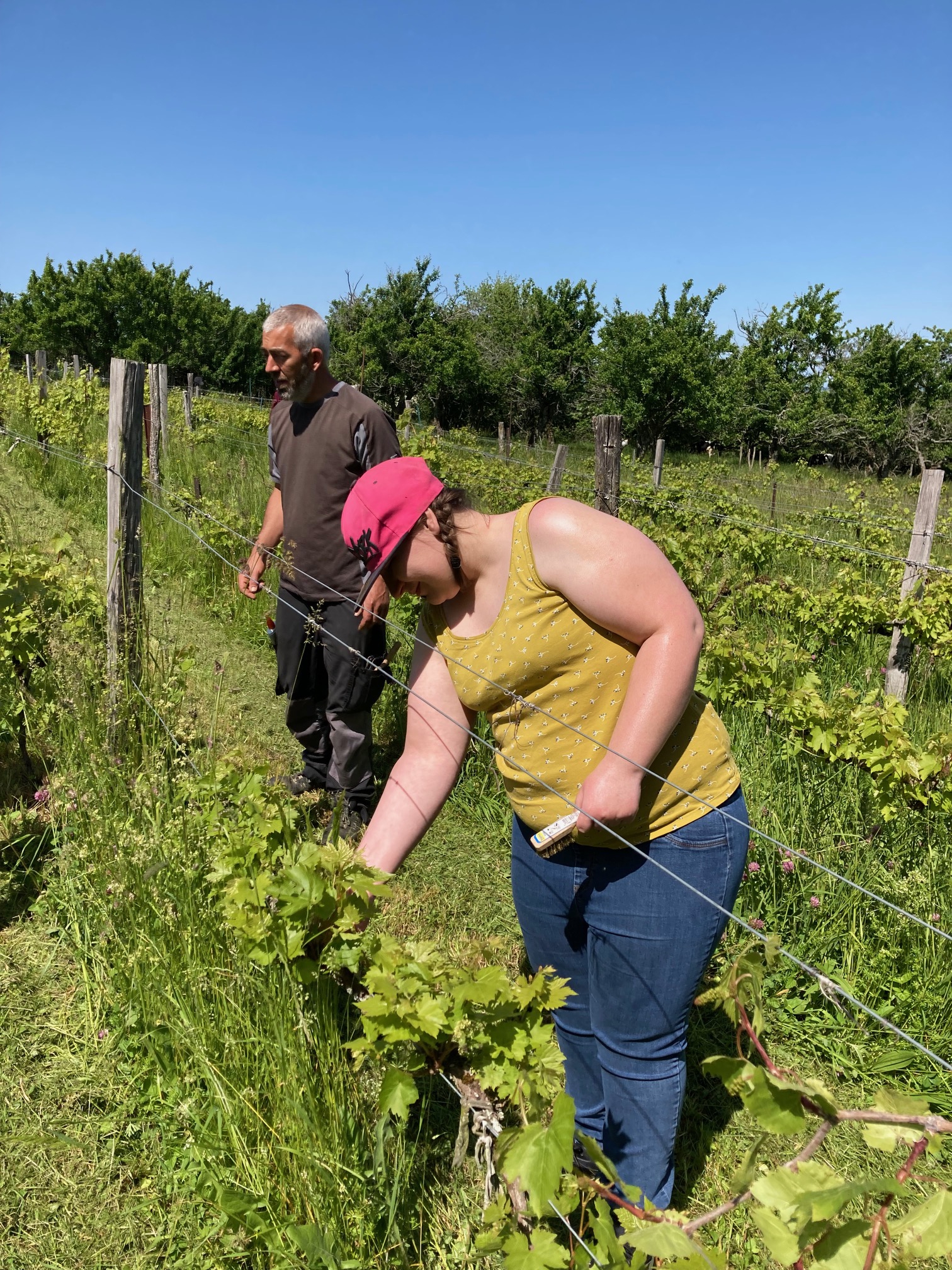 Travaux en binômes Travaux en binômes