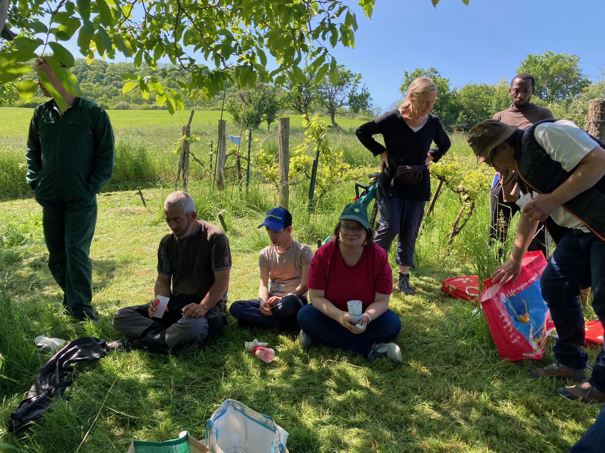 Aux petits soins pour les pieds… de vigne !