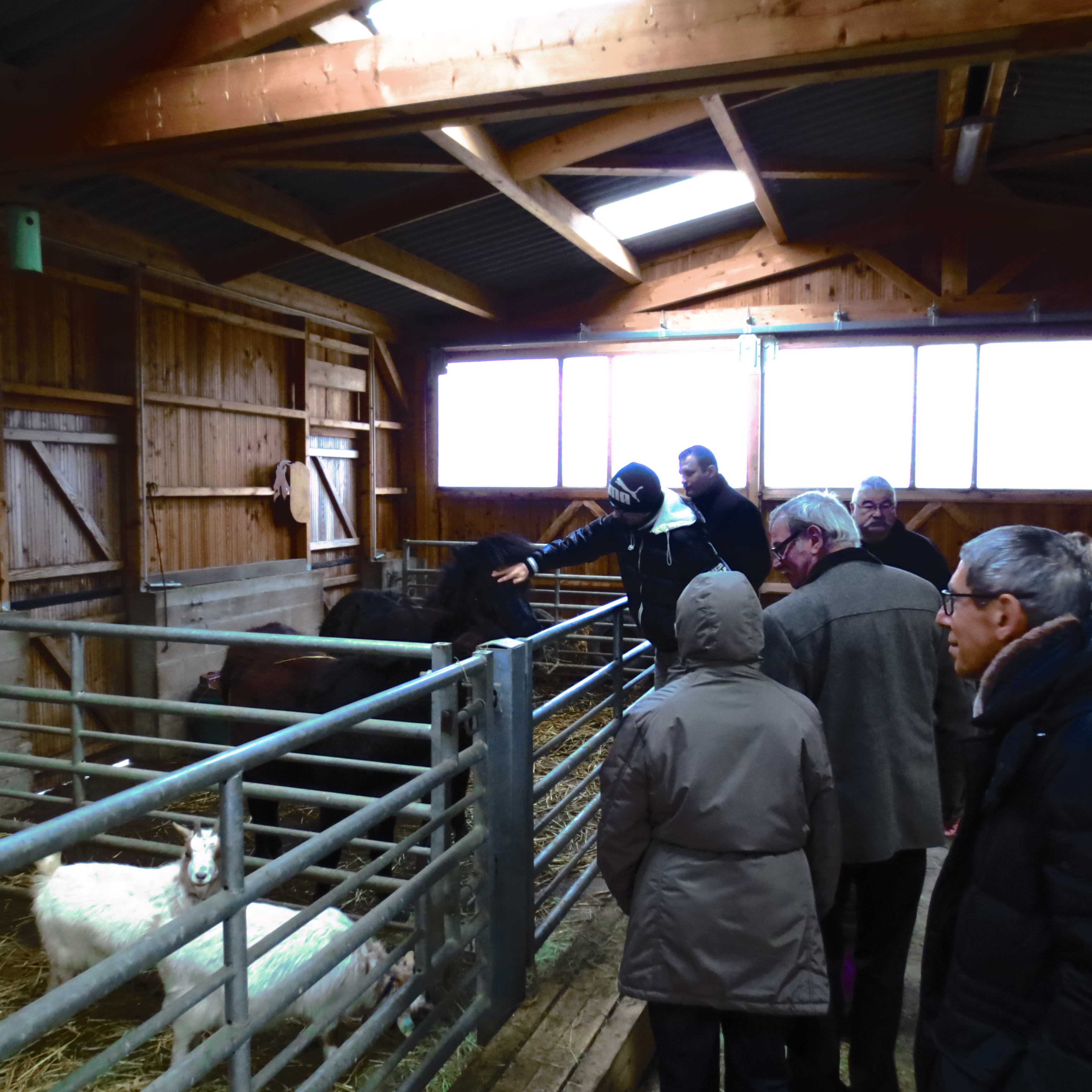 A la petite ferme A la petite ferme