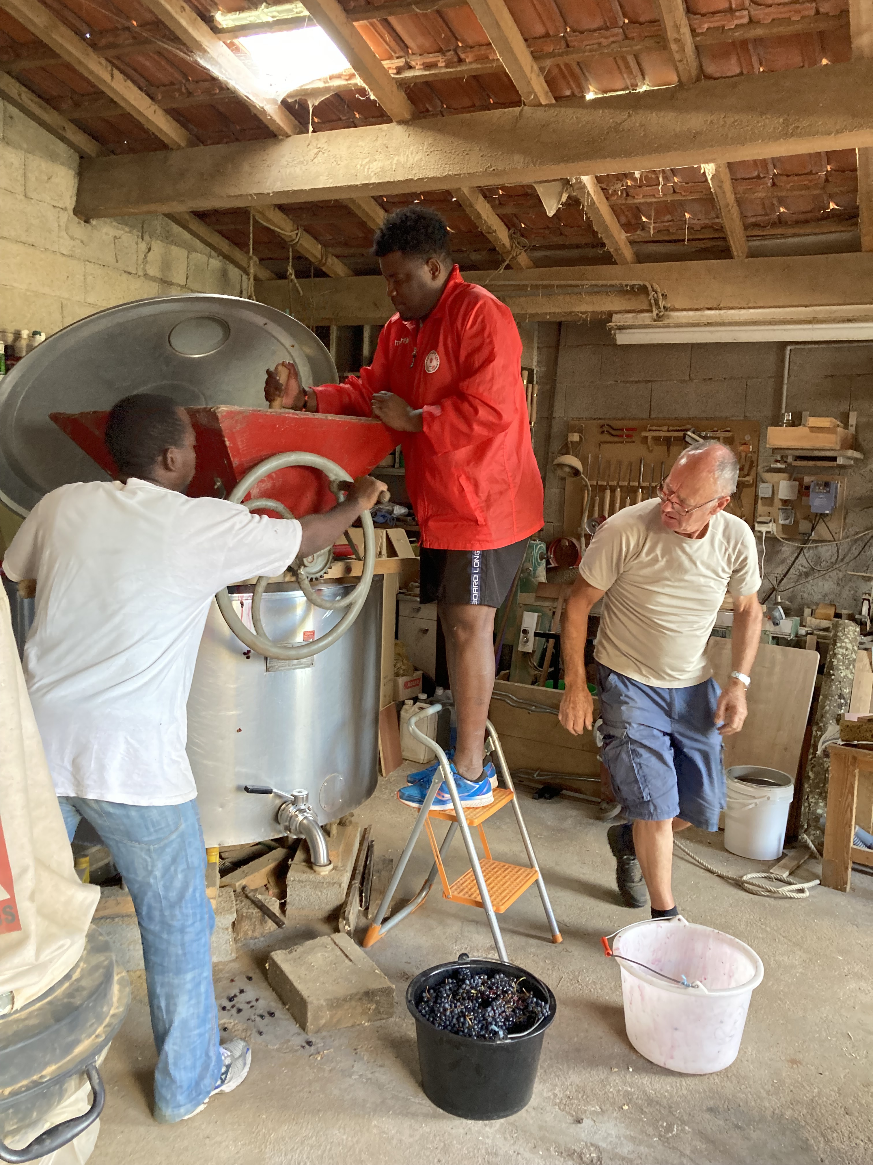 Des vendanges sous un ciel clément Des vendanges sous un ciel clément