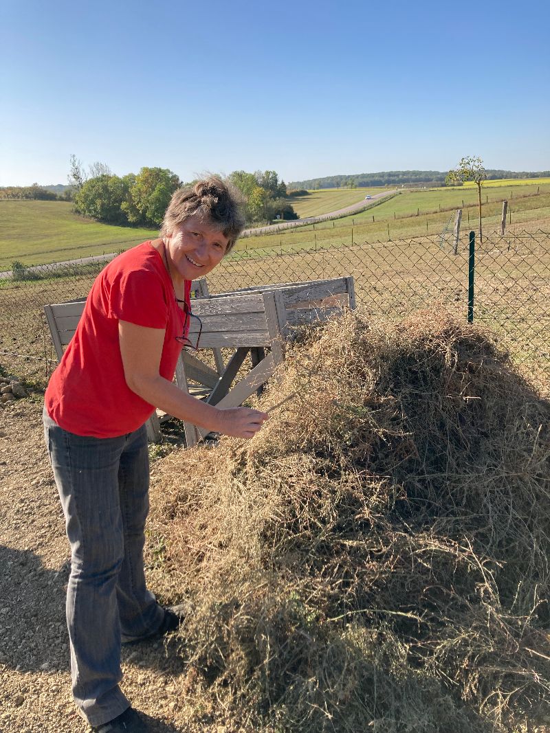 Un énorme tas de racines retirées sur sol. Un énorme tas de racines retirées sur sol.