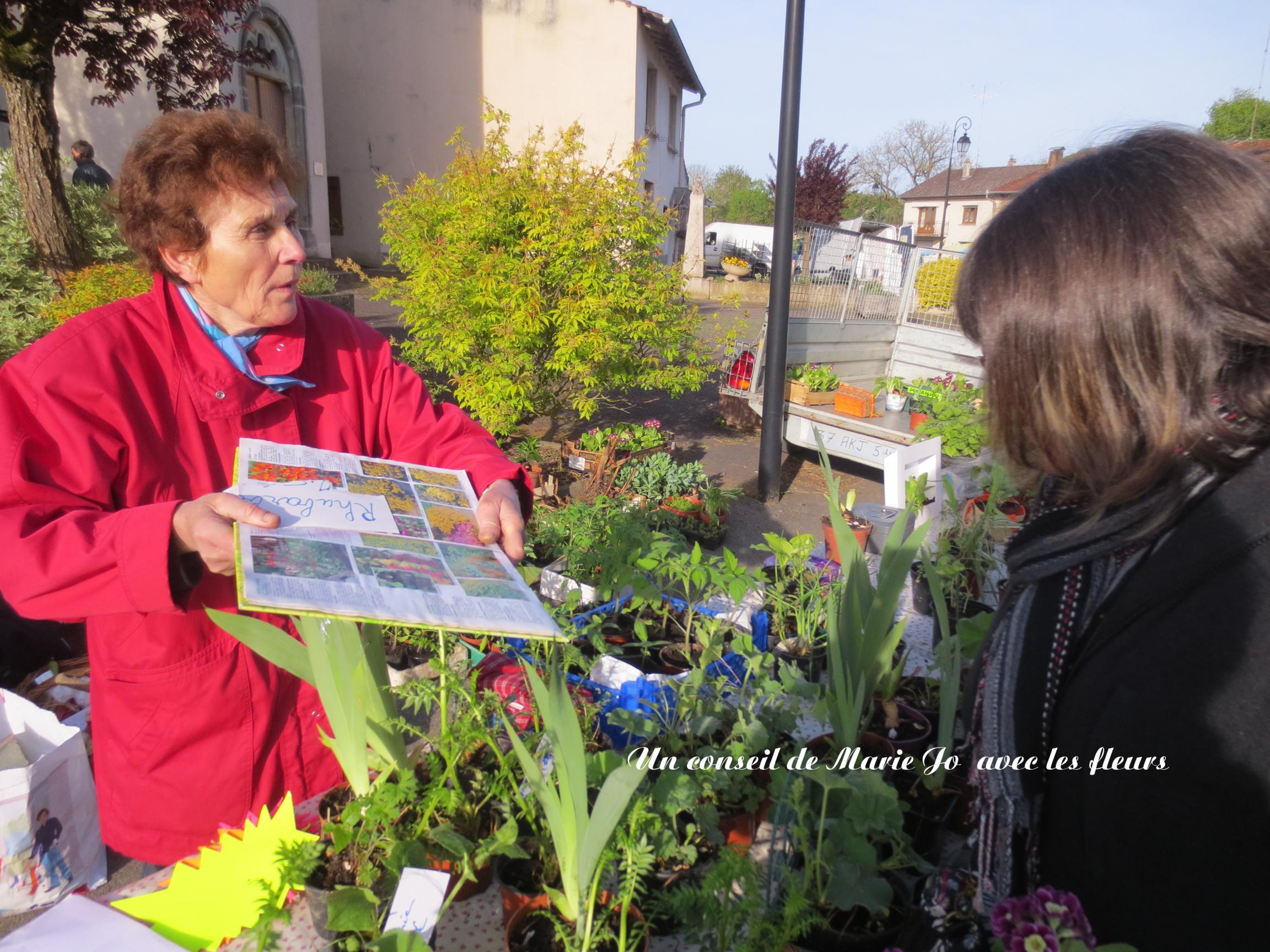 Le conseil de la jardinière, document à l'appui.